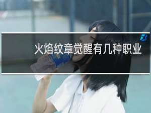 火焰纹章觉醒有几种职业