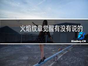 火焰纹章觉醒有没有说的