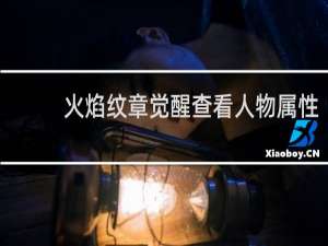 火焰纹章觉醒查看人物属性
