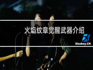 火焰纹章觉醒武器介绍