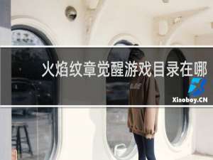 火焰纹章觉醒游戏目录在哪
