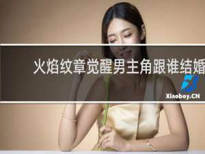 火焰纹章觉醒男主角跟谁结婚