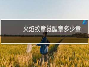 火焰纹章觉醒章多少章