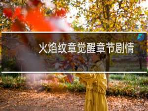 火焰纹章觉醒章节剧情