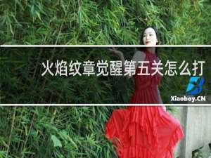 火焰纹章觉醒第五关怎么打