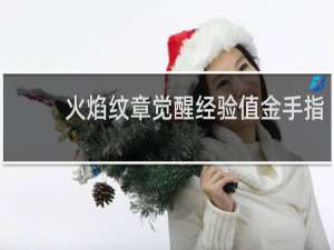火焰纹章觉醒经验值金手指
