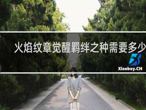 火焰纹章觉醒羁绊之种需要多少颗