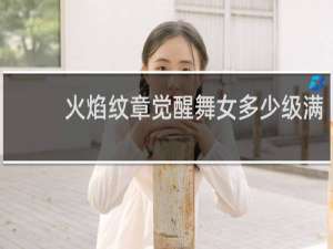 火焰纹章觉醒舞女多少级满