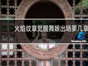 火焰纹章觉醒舞娘出场第几章