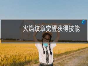 火焰纹章觉醒获得技能
