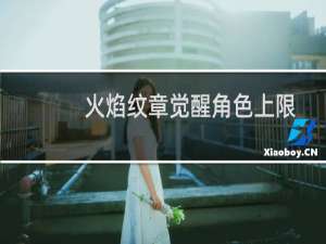 火焰纹章觉醒角色上限