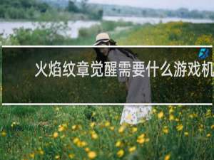 火焰纹章觉醒需要什么游戏机