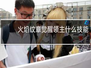 火焰纹章觉醒领主什么技能