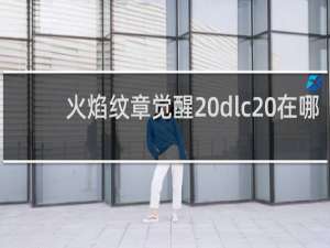 火焰纹章觉醒 dlc 在哪