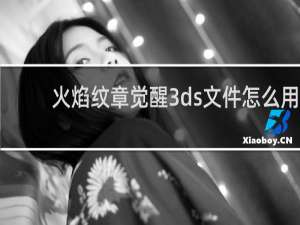 火焰纹章觉醒3ds文件怎么用