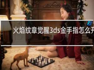 火焰纹章觉醒3ds金手指怎么开