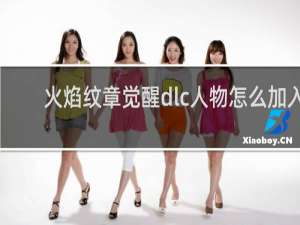 火焰纹章觉醒dlc人物怎么加入