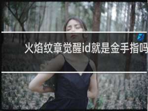 火焰纹章觉醒id就是金手指吗