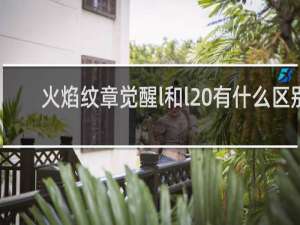 火焰纹章觉醒l和l 有什么区别
