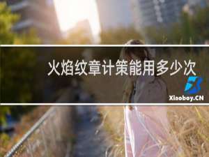 火焰纹章计策能用多少次