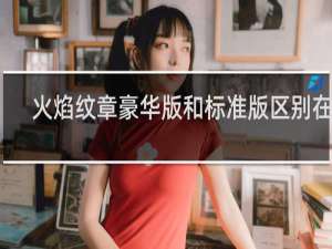 火焰纹章豪华版和标准版区别在哪