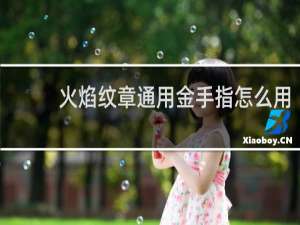 火焰纹章通用金手指怎么用