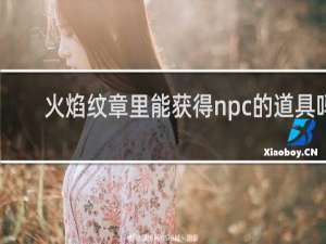 火焰纹章里能获得npc的道具吗