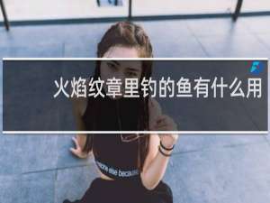 火焰纹章里钓的鱼有什么用