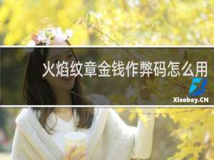火焰纹章金钱作弊码怎么用
