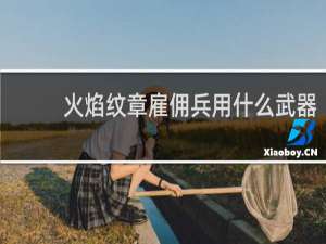 火焰纹章雇佣兵用什么武器