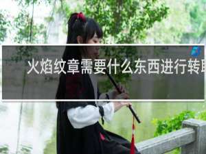 火焰纹章需要什么东西进行转职