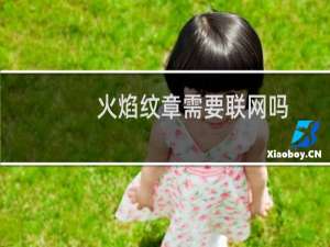火焰纹章需要联网吗
