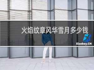 火焰纹章风华雪月多少钱