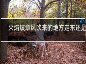 火焰纹章风吹来的地方走东还是北