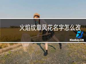 火焰纹章风花名字怎么改