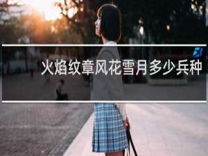 火焰纹章风花雪月多少兵种