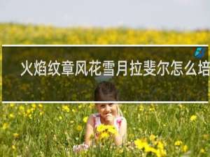 火焰纹章风花雪月拉斐尔怎么培养