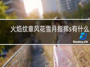 火焰纹章风花雪月指挥s有什么用
