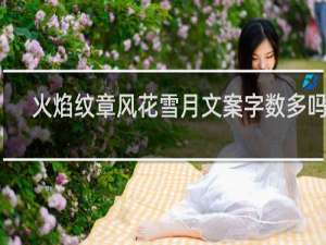 火焰纹章风花雪月文案字数多吗吗