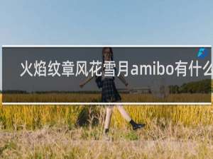 火焰纹章风花雪月amibo有什么用