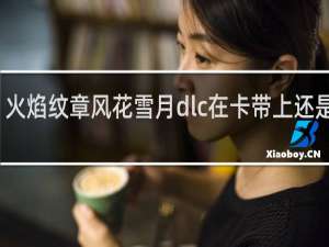 火焰纹章风花雪月dlc在卡带上还是数字