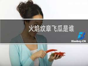 火焰纹章飞瓜是谁