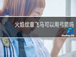 火焰纹章飞马可以用弓箭吗