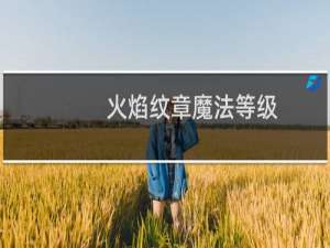 火焰纹章魔法等级