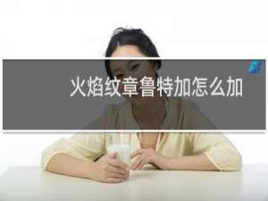 火焰纹章鲁特加怎么加
