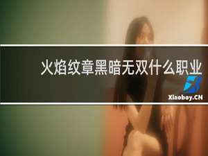 火焰纹章黑暗无双什么职业