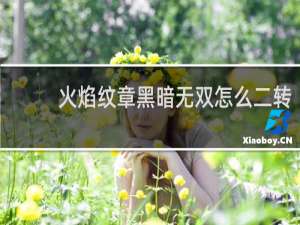火焰纹章黑暗无双怎么二转