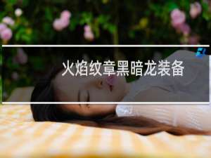 火焰纹章黑暗龙装备