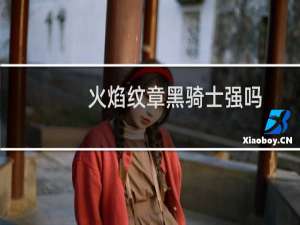 火焰纹章黑骑士强吗