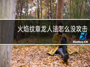 火焰纹章龙人法怎么没攻击